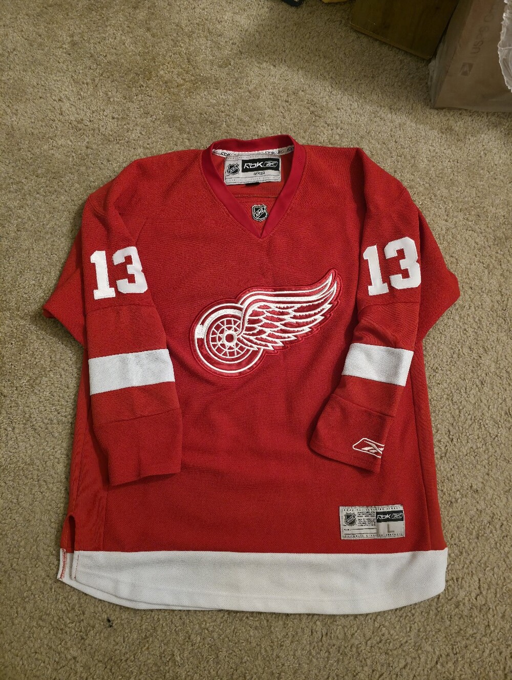 Detriot Redwing